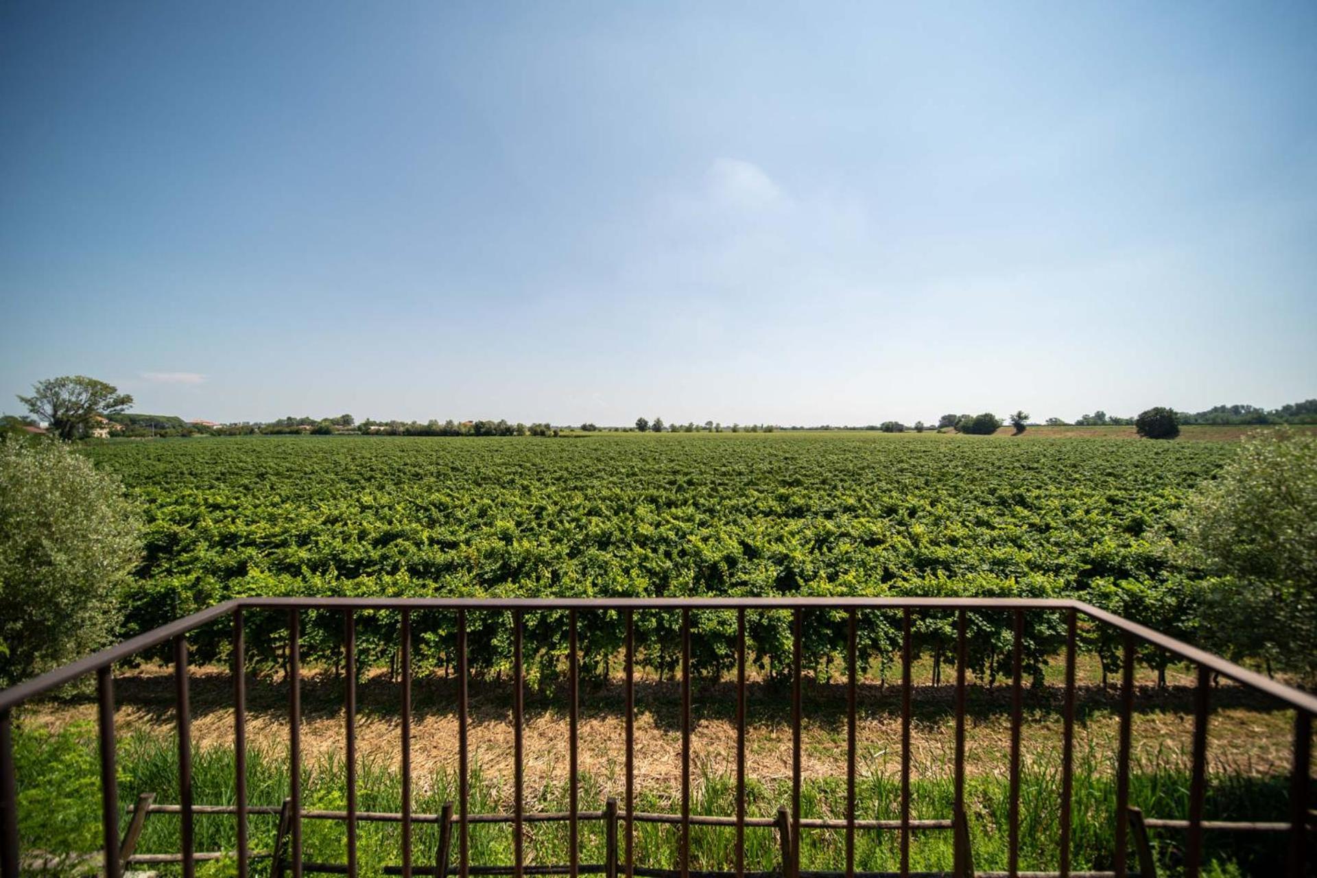 Borgo Ronchetto Hotel Salgareda ภายนอก รูปภาพ